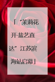 “茉莉花开·盐艺直达”江苏滨海站启幕