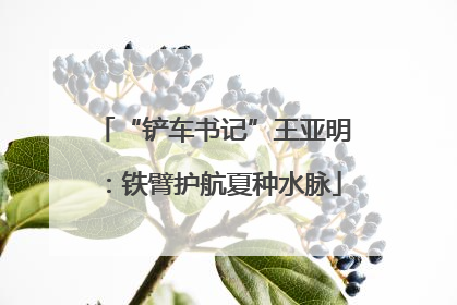 “铲车书记”王亚明：铁臂护航夏种水脉
