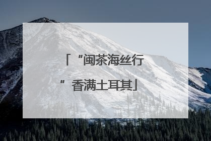 “闽茶海丝行”香满土耳其