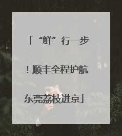 “鲜”行一步！顺丰全程护航东莞荔枝进京