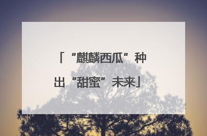“麒麟西瓜”种出“甜蜜”未来