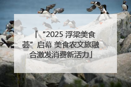 “2025 浮梁美食荟”启幕 美食农文旅融合激发消费新活力