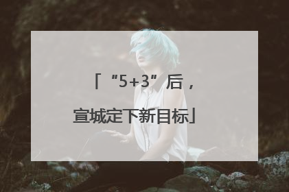 “5+3”后，宣城定下新目标