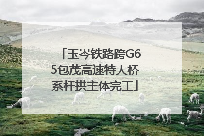 玉岑铁路跨G65包茂高速特大桥系杆拱主体完工
