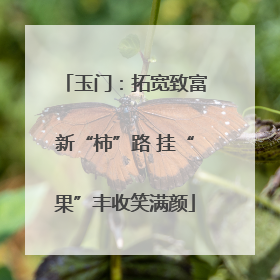 玉门：拓宽致富新“柿”路 挂“果”丰收笑满颜