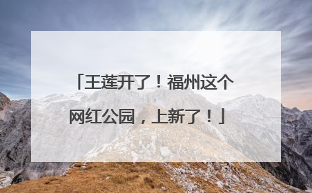 王莲开了！福州这个网红公园，上新了！