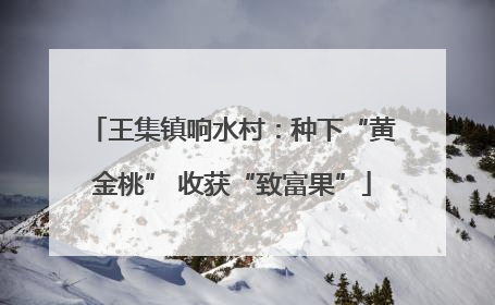 王集镇响水村：种下“黄金桃” 收获“致富果”