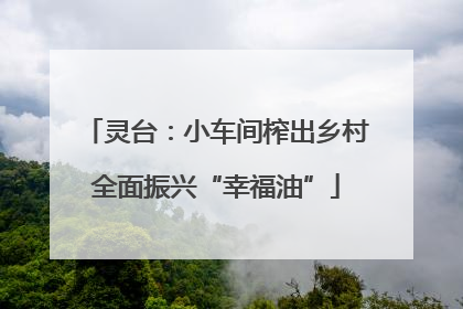 灵台：小车间榨出乡村全面振兴“幸福油”