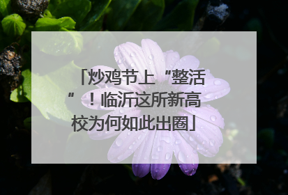炒鸡节上“整活”！临沂这所新高校为何如此出圈