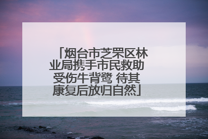 烟台市芝罘区林业局携手市民救助受伤牛背鹭 待其康复后放归自然
