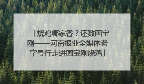 烧鸡哪家香？还数画宝刚——河南报业全媒体老字号行走进画宝刚烧鸡