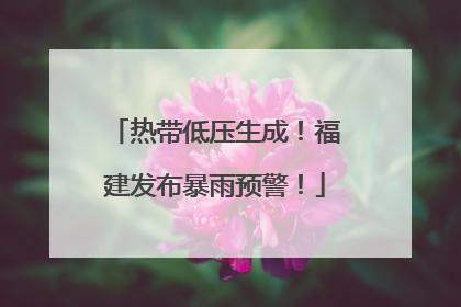 热带低压生成！福建发布暴雨预警！
