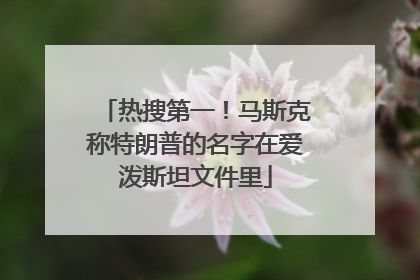 热搜第一！马斯克称特朗普的名字在爱泼斯坦文件里