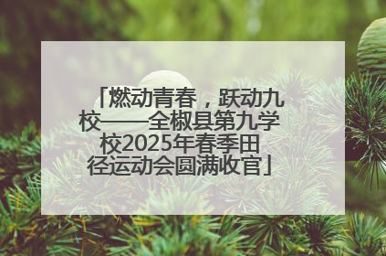 燃动青春，跃动九校——全椒县第九学校2025年春季田径运动会圆满收官