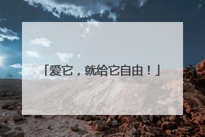 爱它，就给它自由！