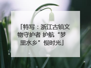 特写：浙江古镇文物守护者 护航“梦里水乡”慢时光