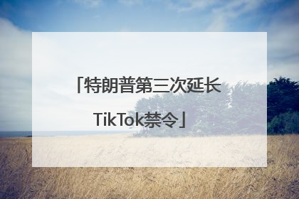 特朗普第三次延长TikTok禁令