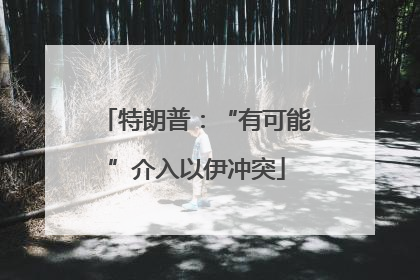 特朗普：“有可能”介入以伊冲突