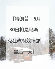 特朗普：5月30日将是马斯克在政府效率部最后一天