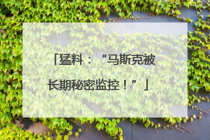 猛料：“马斯克被长期秘密监控！”