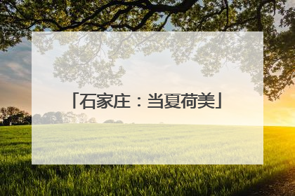 石家庄：当夏荷美