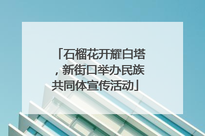 石榴花开耀白塔，新街口举办民族共同体宣传活动