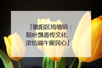 睢阳区坞墙镇：粽叶飘香传文化 浓情端午聚民心