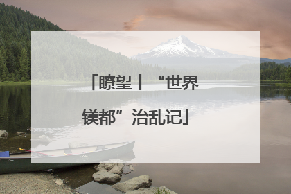 瞭望丨“世界镁都”治乱记