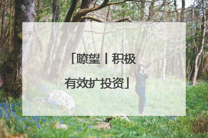 瞭望丨积极有效扩投资