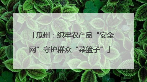 瓜州：织牢农产品“安全网”守护群众“菜篮子”