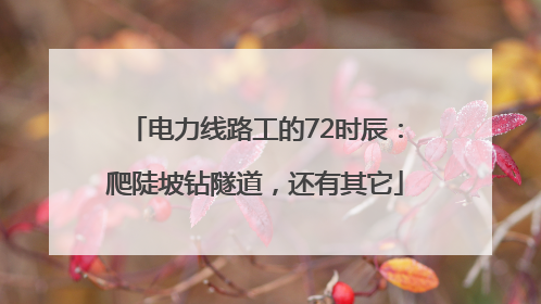 电力线路工的72时辰：爬陡坡钻隧道，还有其它