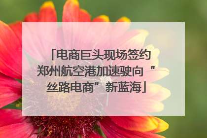 电商巨头现场签约 郑州航空港加速驶向“丝路电商”新蓝海