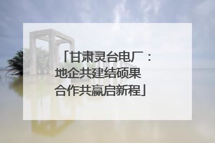 甘肃灵台电厂：地企共建结硕果 合作共赢启新程