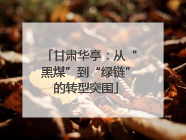 甘肃华亭：从“黑煤”到“绿链”的转型突围