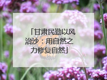 甘肃民勤以风治沙：用自然之力修复自然