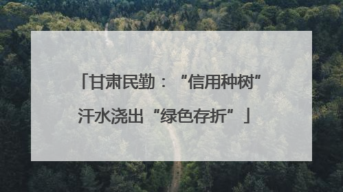 甘肃民勤：“信用种树” 汗水浇出“绿色存折”