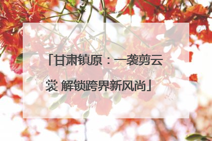 甘肃镇原：一袭剪云裳 解锁跨界新风尚
