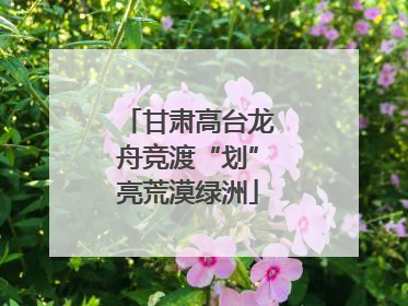 甘肃高台龙舟竞渡“划”亮荒漠绿洲