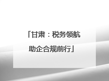 甘肃：税务领航 助企合规前行
