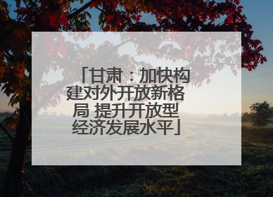 甘肃：加快构建对外开放新格局 提升开放型经济发展水平