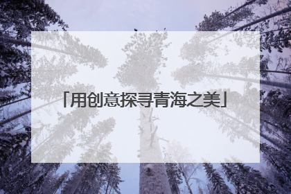 用创意探寻青海之美