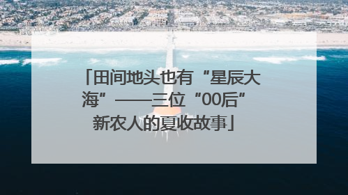 田间地头也有“星辰大海”——三位“00后”新农人的夏收故事