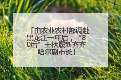由农业农村部调赴黑龙江一年后，“80后”王杕履新齐齐哈尔副市长