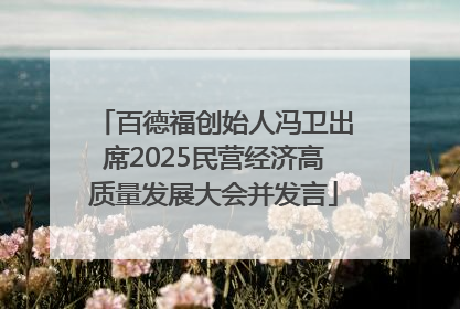 百德福创始人冯卫出席2025民营经济高质量发展大会并发言