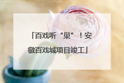 百戏听“巢”！安徽百戏城项目竣工