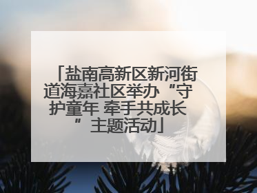 盐南高新区新河街道海嘉社区举办“守护童年 牵手共成长”主题活动