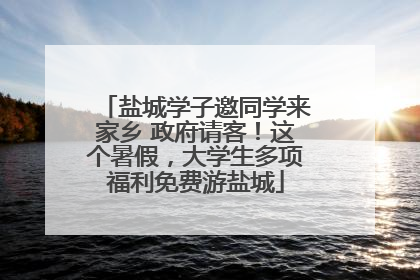 盐城学子邀同学来家乡 政府请客！这个暑假，大学生多项福利免费游盐城