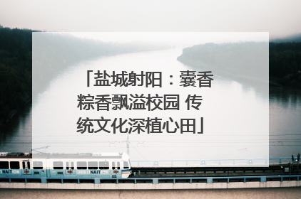 盐城射阳：囊香粽香飘溢校园 传统文化深植心田