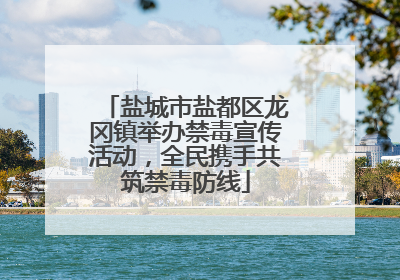 盐城市盐都区龙冈镇举办禁毒宣传活动，全民携手共筑禁毒防线