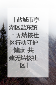 盐城市亭湖区盐东镇：无结核社区行动守护健康 ·共建无结核社区